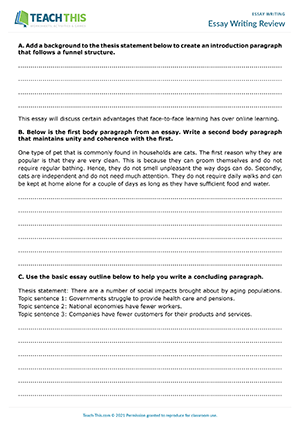 Essay Writing Review Worksheet Preview
