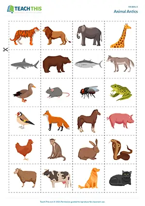 ESL animal vocabulary games preview, beginner A1, matching, miming, guessing, group work