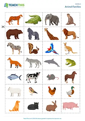 ESL animals game preview, elementary A1-A2, categorising, forming sentences, card game, group work