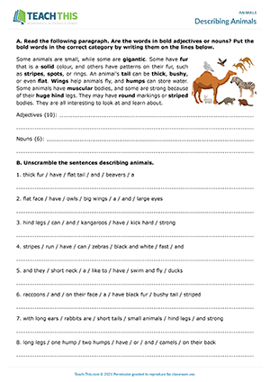 Describing Animals Worksheet Preview
