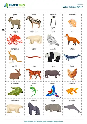 ESL animals guessing game preview, pre-intermediate A2, asking questions, 20 questions, group work