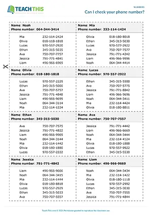 ESL Phone Numbers Activity, elementary A1-A2, checking, correcting, group work