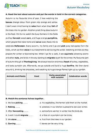 Autumn Vocabulary Worksheet Preview